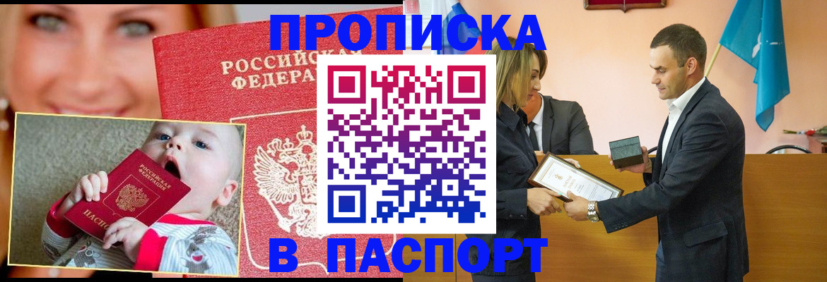 прописка поиск в Бийске